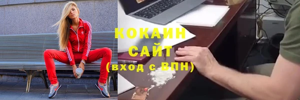 прущие грибы Бронницы