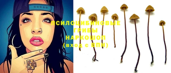 прущие грибы Бронницы