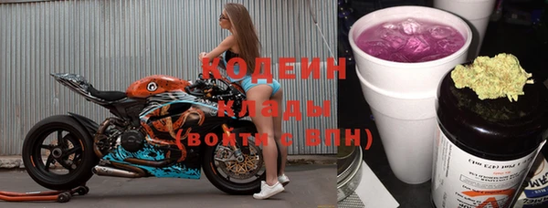 прущие грибы Бронницы