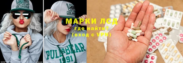 прущие грибы Бронницы