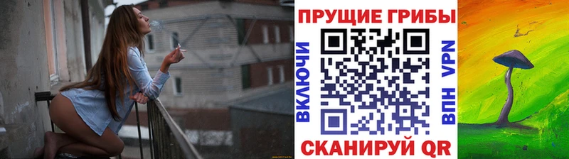 Галлюциногенные грибы Cubensis  Купить где  Бор 